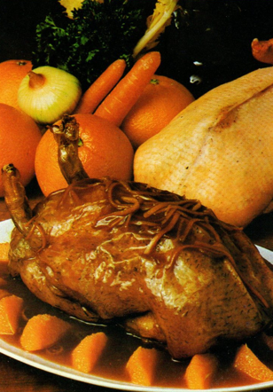 PATO COM LARANJA